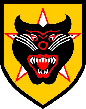 Image illustrative de l’article Rangers de la république du Viêt Nam