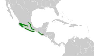 Description de l'image Vireolanius melitophrys map.svg.