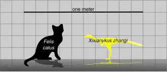 Description de l'image Xixianykus Scale.svg.