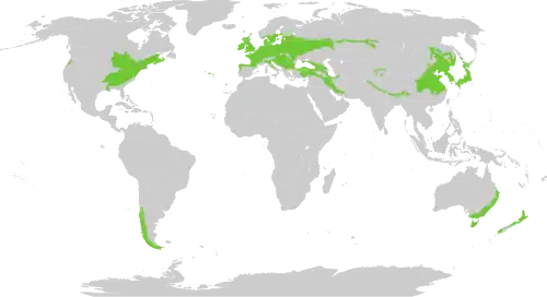 Description de l'image Biome_map_04.svg.