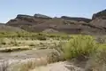 Big Bend State Park