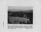 Photographie "Indian Graveyard ' H ' ... contenant les restes de Charlie Johnson et d'autres Indiens (tribu Coarsegold)," ... - NARA - 296227