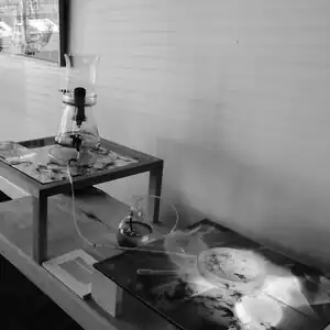 Machine pour dessin vivant à micro-organismes, 2019, structure en bois, culture de masse de micro-algues dans un récipient en verre, lampe, images de microscopie imprimées sur plaques de verre, 90&nbsp;×&nbsp;120&nbsp;60cm.