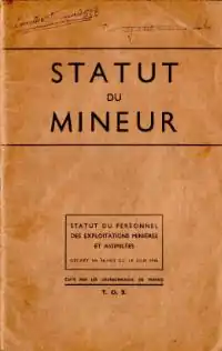 Couverture du Statut du mineur.