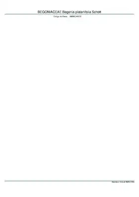Description de l'image BEGONIACEAE Begonia platanifolia Schott, INMA (MBML049032).pdf.